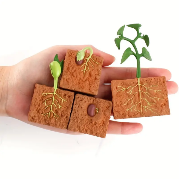 4pcs Farm Plant Life Cycle Model Figure Figurine Set - Image 2